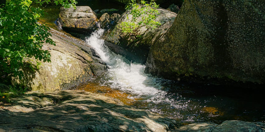 Image of a waterfall around the lush green forest, water cascading through huge rocks