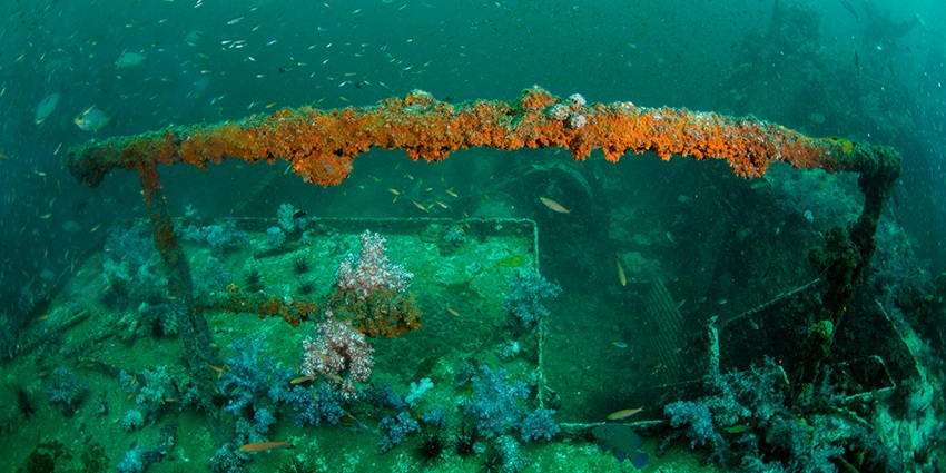 A ship wreck visible while scuba diving in Phi Phi island