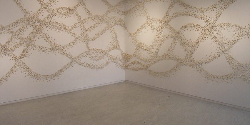 Beautiful display of “Touch me not” art on display in the KNMA near Select city walk