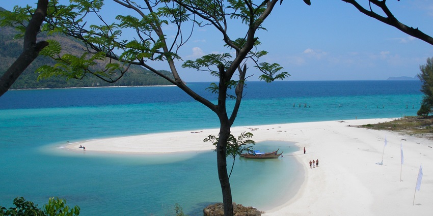 A distant view of a beach with clear blue waters hiding behind a tree