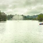 Kodaikanal is a beautiful hill station that transforms into vibrant coloured wildflowers during May.