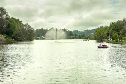 Kodaikanal is a beautiful hill station that transforms into vibrant coloured wildflowers during May.