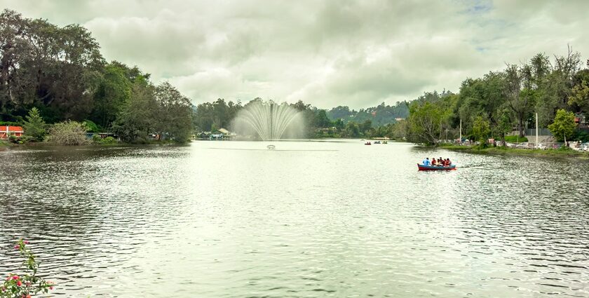 Kodaikanal is a beautiful hill station that transforms into vibrant coloured wildflowers during May.