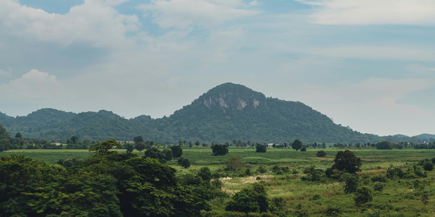 Kodikuthimala, a picturesque hill station, is a sight to behold near the mosque.