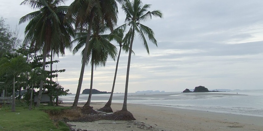 Explore the diverse flora & fauna, pristine beaches, and more at the Koh Lanta Islands