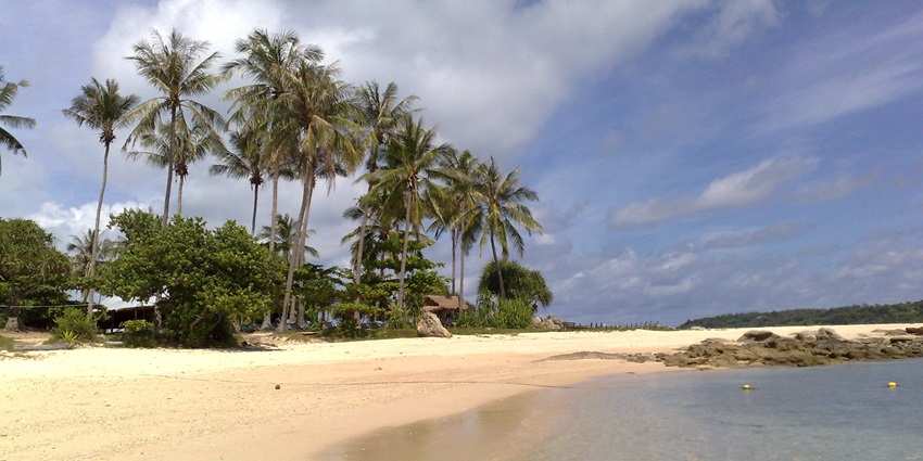 A beautiful beach in Phuket on a sunny day with pine trees in the background