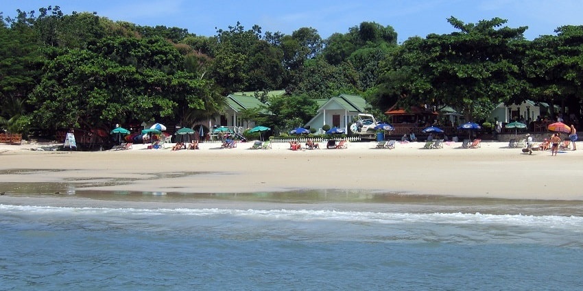 People relaxing on a beach with trees in the background