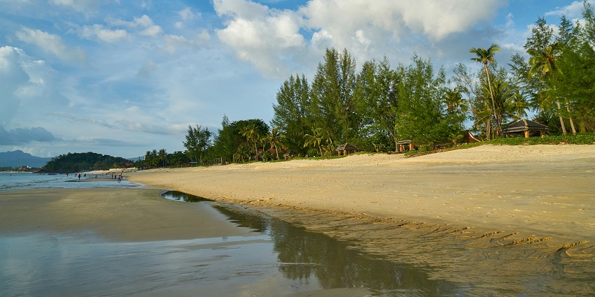 A view of glistening waters meeting the golden sands dotted with trees in Koh Samui.