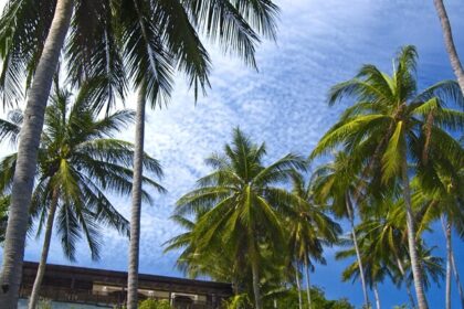 Scenic Image of a beautiful landscape of Koh Samui—Places to visit in Koh Samui