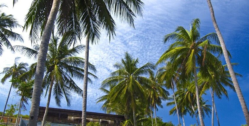 Scenic Image of a beautiful landscape of Koh Samui—Places to visit in Koh Samui