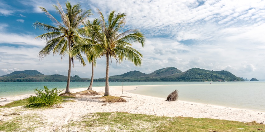 Palm trees on an island with hills in the background