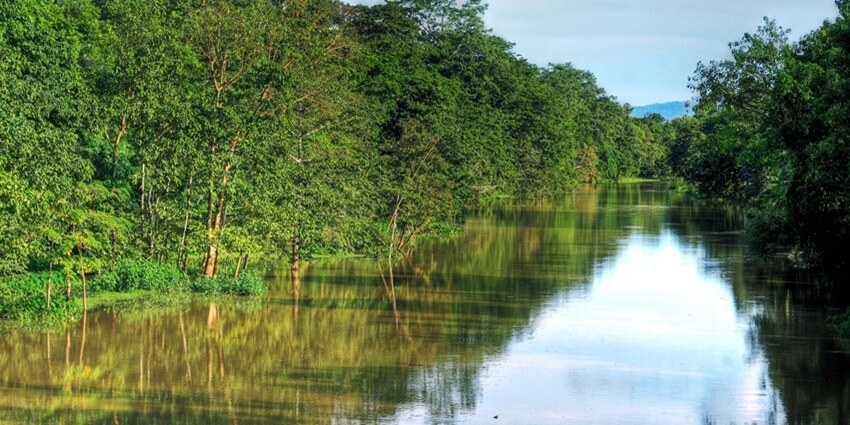 A serene river flows through lush greenery, reflecting sunlight and vibrant foliage.
