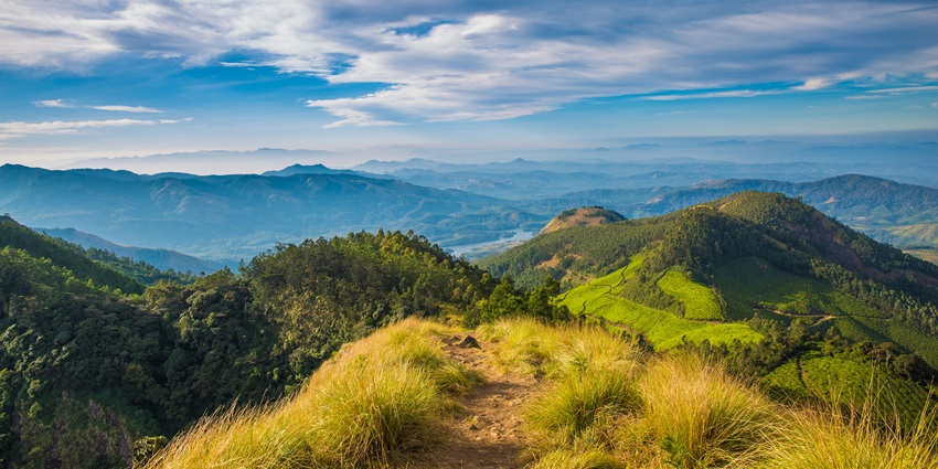 Kolukkumalai Peak is one of the best spots to navigate through the scenic surroundings.