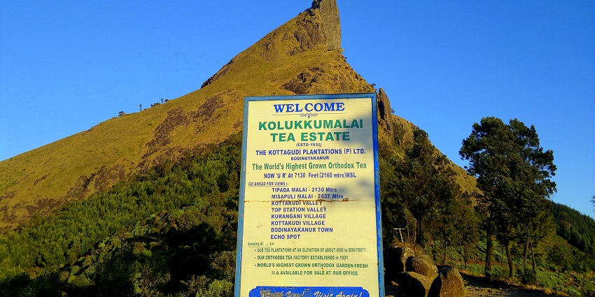 Explore the scenic beauty of the Kolukkumalai Tea Estate near the Chinnakanal Waterfalls