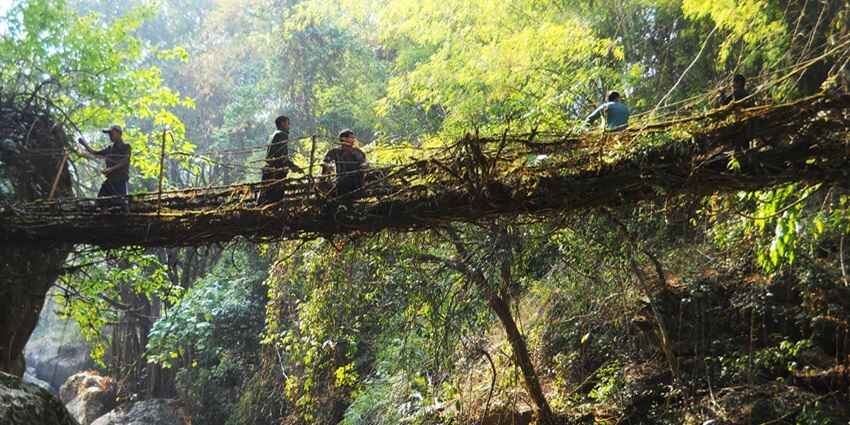 Kongthong Village, Root Bridge a scenic snapshot of Meghalaya–offbeat places in Meghalaya