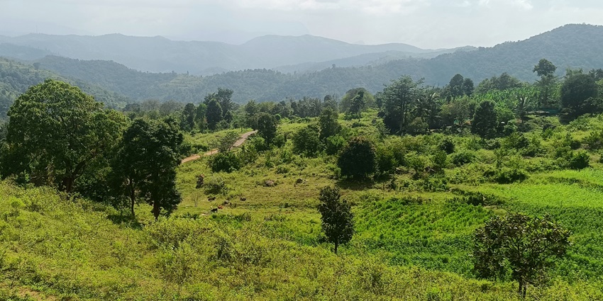 A majestic view of a verdant valley in Kerala with mountains in the background