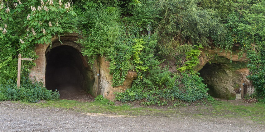 A picture of a cave entrance in Shillong, covered with lush greenery