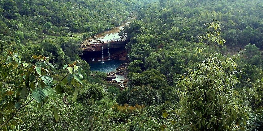 The lush forests around Krang suri waterfalls add onto its enchanting beauty and serenity