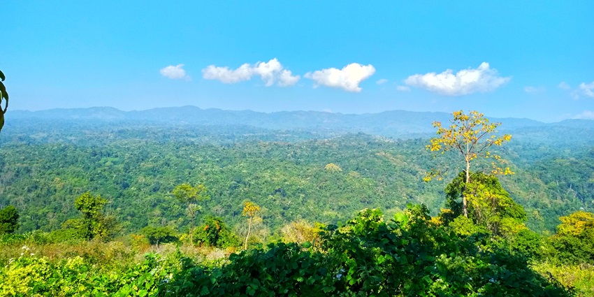 Landscape view of the dense forest of Karbi Anglong on a clear sunny day in Assam