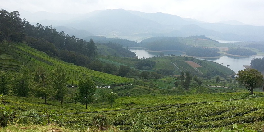 A serene panoramic view of misty hills and lush plantations similar to Kudappanakunnu