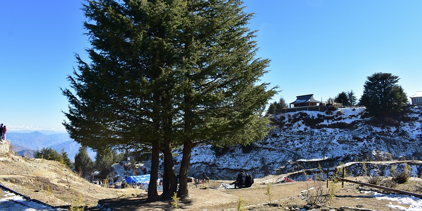 Picturesque view of Kufri mountains and lush green trees - tourist places near Paonta Sahib