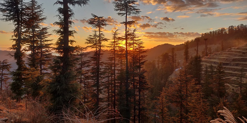 Kufri is an enchanting Solan hill station with hilly terrains and lush greenery