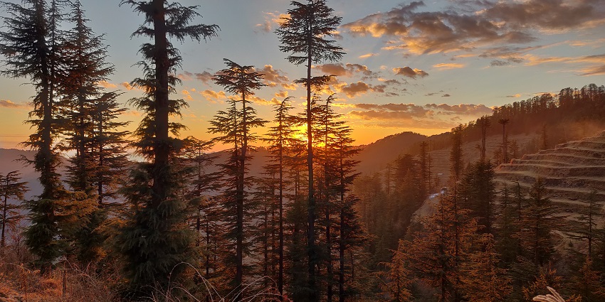 Kufri is a hill station near Kasauli that is ideal for walks or horseback riding