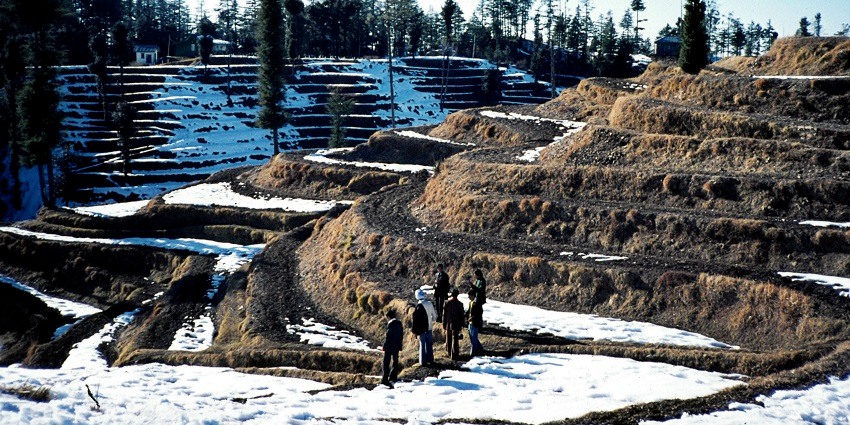 One of the best places to visit in Himachal Pradesh in January, Kufri, offers beautiful views and exciting activities.