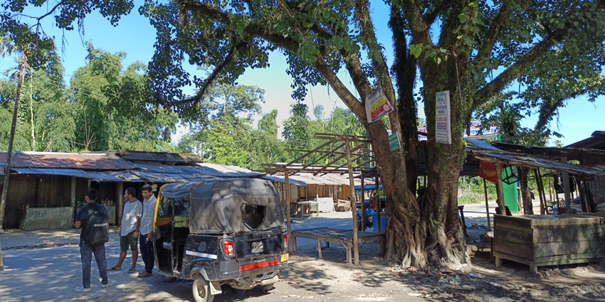 Cluster of parked e‑rickshaws under a large leafy tree lining a dusty roadside stop in Dhemaji