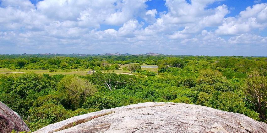 Kumana National Park has a night safari experience where you can watch mammals