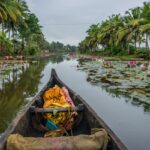 Beautiful scenic views of Kumarakom Backwater canals passing through Forest