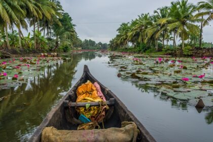 Beautiful scenic views of Kumarakom Backwater canals passing through Forest