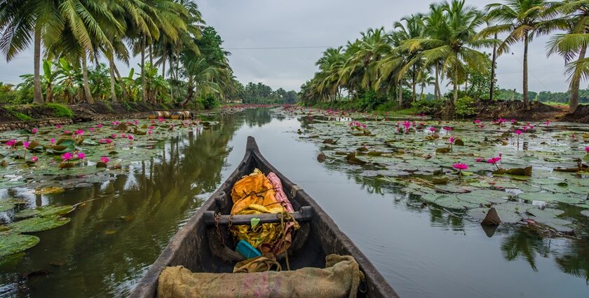 Beautiful scenic views of Kumarakom Backwater canals passing through Forest