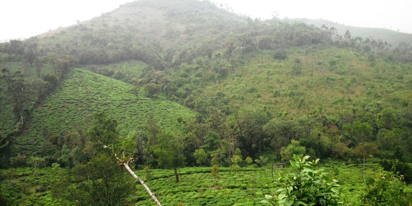 Beautiful hill station views