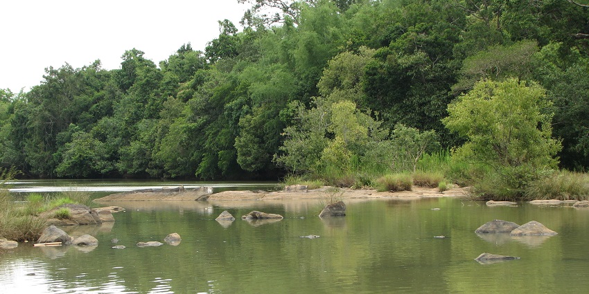 This island offers a perfect escape for nature lovers with its lush forests and serene waters