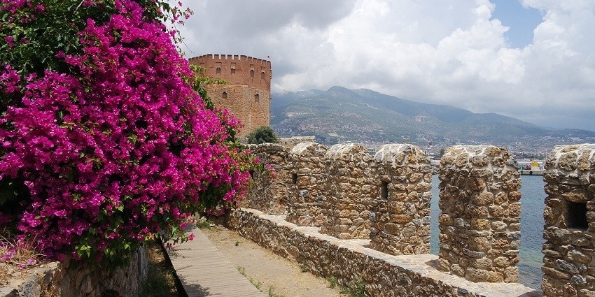 View of a palace with pink-coloured flowers near the wall and a backdrop of cloudy sky.