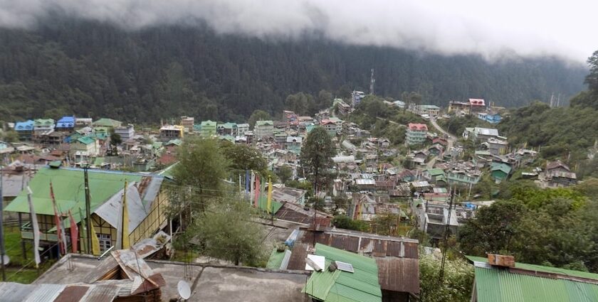 A picture of a hill town showing trees and houses with tall mountains in the front