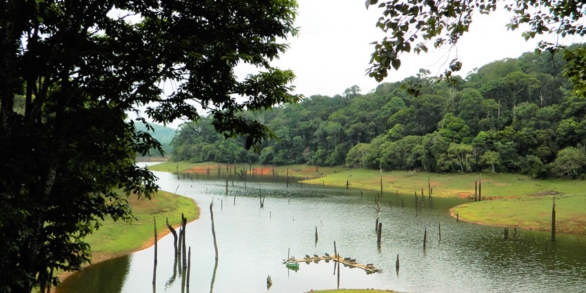 Rajparian Wildlife Sanctuary displays its utmost beauty in the summer months