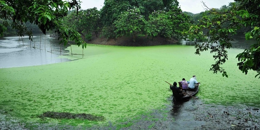 Renuka wildlife sanctuary, along with a rich biodiversity offers leisure activities like boating in the lake