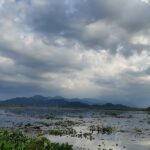 Lakeside view with waters reflecting the trees and mountains - Places To Visit In Goalpara.