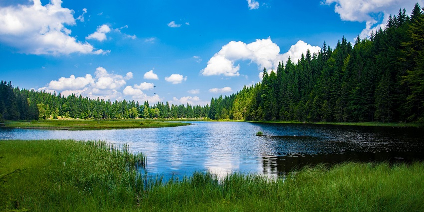 Kumri Beel Lake with tranquil waters reflecting the surrounding landscape, greenery.