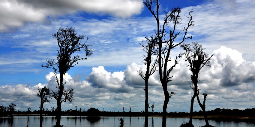 Scenic lakeside view in a park, showcasing calm waters and lush greenery under a blue sky.