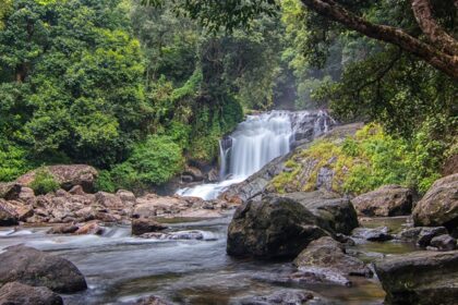 Lakkam Waterfalls in Munnar is a refreshing sight that offers a peaceful getaway for tourists