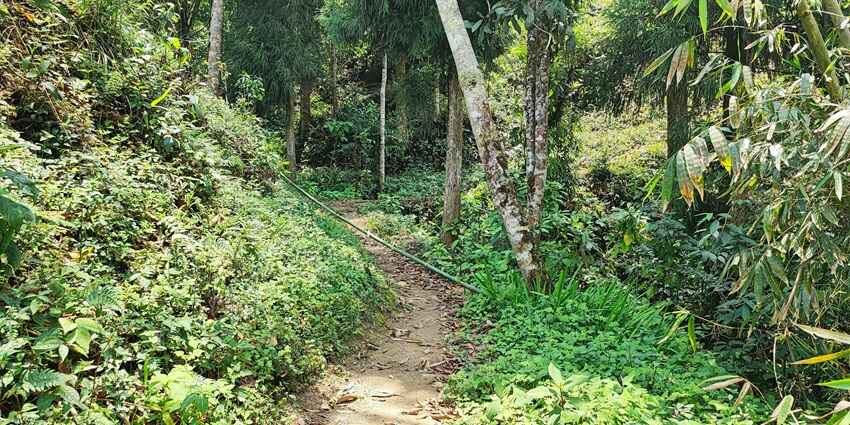 On Lamhatta trek, tourist can traverse through many small villages reflecting their culture