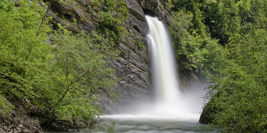 Image of a waterfall surrounded by green plants - one of the best waterfalls in Mizoram.