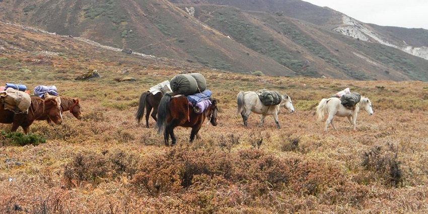 Lamuney Campsite is one of the most thrilling places for camping in Sikkim for all.