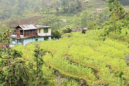 Enjoy the views of the lush green landscape of one of the serene places, Sikkim, India.