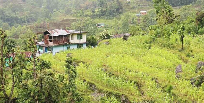 Enjoy the views of the lush green landscape of one of the serene places, Sikkim, India.