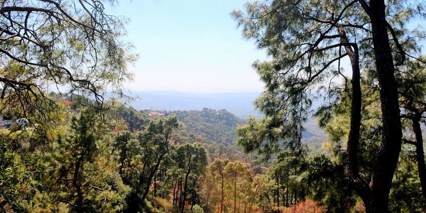 The landscape of Arki seems mesmerising with beautiful streams, forts and valleys.