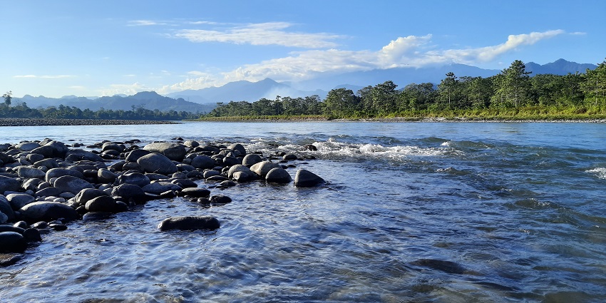 Nameri national park is a tranquil wildlife area with picturesque landscapes along the river.
